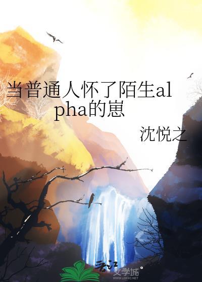 当普通人怀了陌生alpha的崽by沈悦之