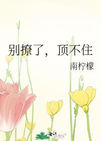 顶不住BY南柠檬TXT