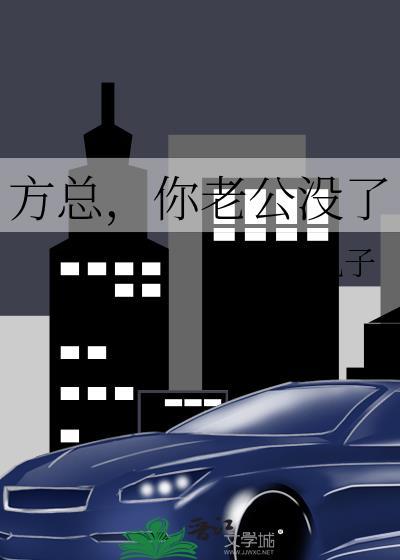你老公没了免费阅读