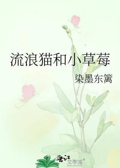 流浪猫和小草莓免费阅读全文