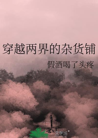 穿越两界的杂货铺资源