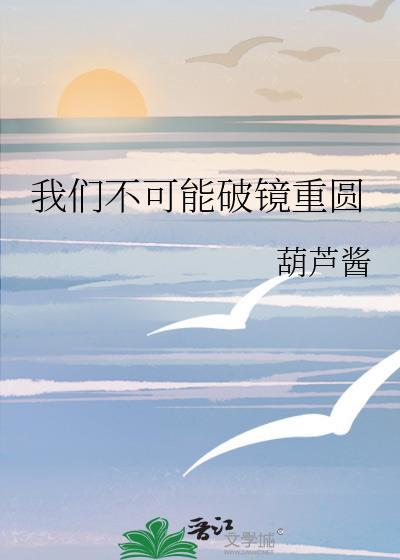 我们不可能破镜重圆by葫芦酱讲什么