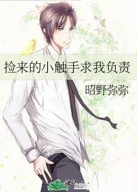 捡来的小触手求我负责晋江