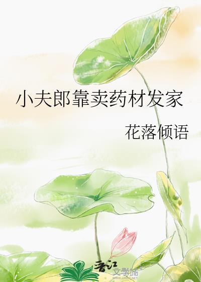 小夫郎靠卖药材发家在线阅读