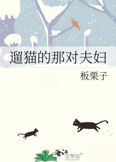 有遛猫的吗?