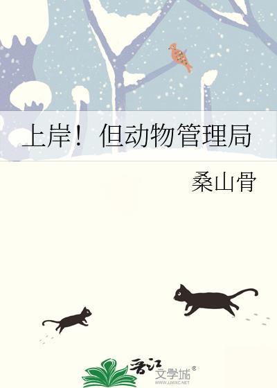 上岸!但动物管理局19