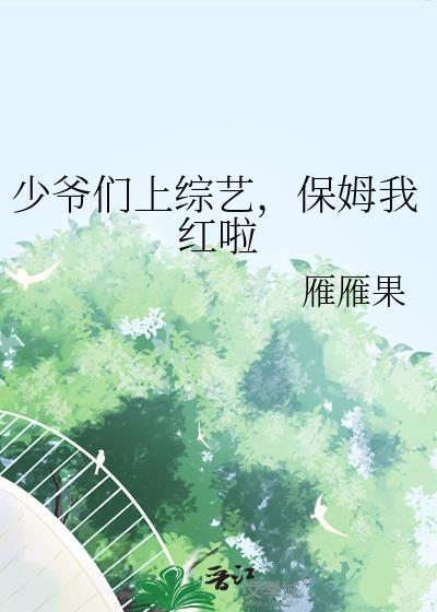 少爷保镖网络剧