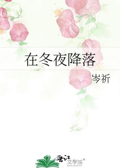 在冬夜降落TXT