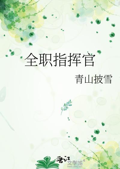 全职指挥官TXT