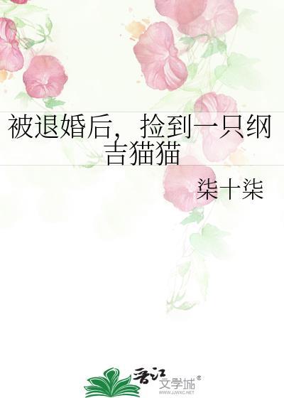 捡到一只纲吉猫猫免费