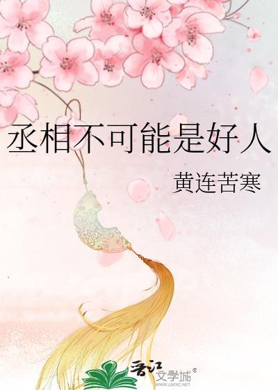 丞相不可能是好人完整版
