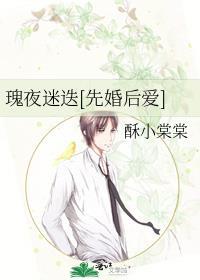 瑰夜迷迭先婚后爱txt