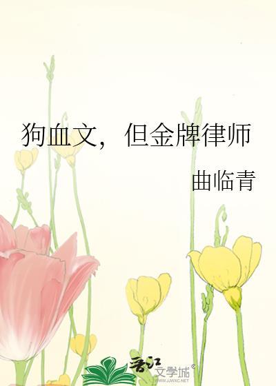 但金牌律师24