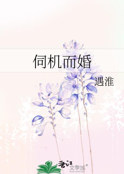 伺机而婚TXT番外