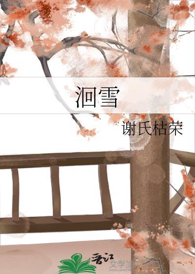 洄雪域属于什么档次