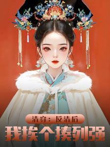 清穿反清后我挨个揍列强飞卢