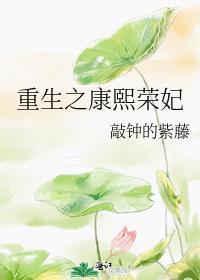 重生之康熙荣妃txt