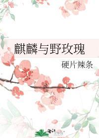 麒麟与野玫瑰GL笔趣阁