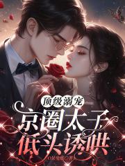 京圈男主太子爷高干文