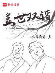 盖世双谐什么时候开始写的