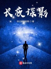 长夜谍影TXT电子书免费
