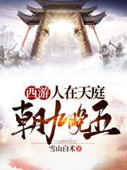 朝九晚五无弹窗 全本