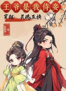 灵魂互换皇上