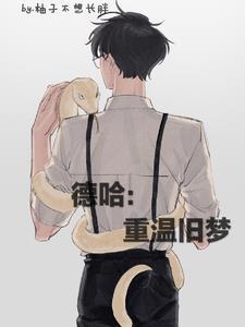 德哈重温旧梦 在线阅读