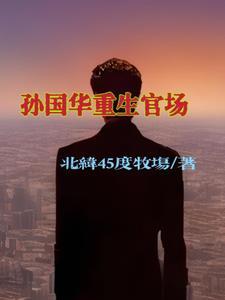 孙国华重生官场无弹窗