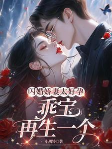 闪婚娇妻太好孕
