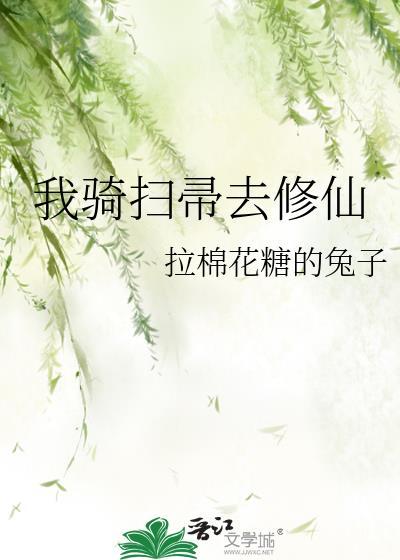 我骑扫帚去修仙TXT