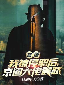 官道我被停职后京圈大佬震怒