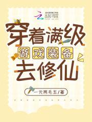 带着满级的游戏角色穿越