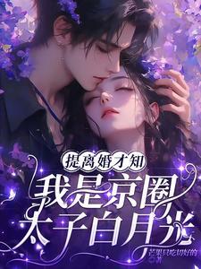 宁穗季晏辞笔趣阁无弹窗