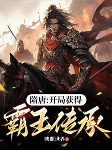 隋唐开局获得霸王传承叶枫