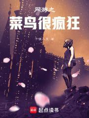 网游之菜鸟很疯狂TXT