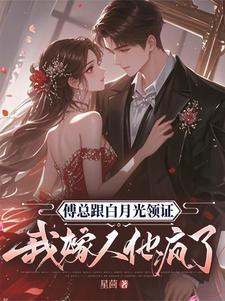 傅总跟白月光领证我嫁人他疯了短剧