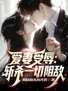 爱妻简介