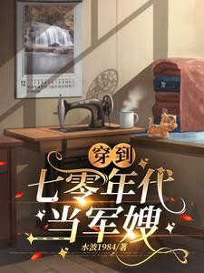 穿到七零年代当军嫂陆婉婉