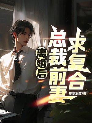 总裁前妻求复合