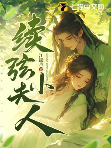 续弦小夫人百度