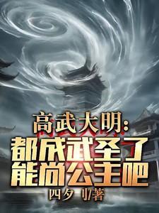 高武大明都成武圣了能尚公主吧的修炼境界