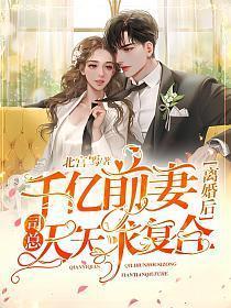 总裁的千亿前妻