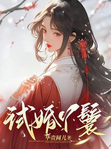 试婚丫鬟是什么