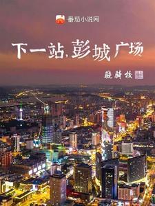 下一站彭城广场TXT