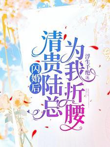 闪婚后清贵陆总为我折腰