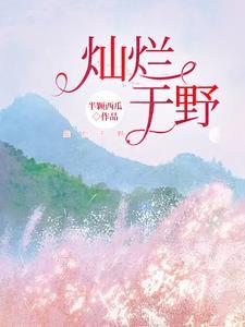 灿烂下一句