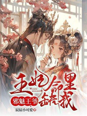 邪魅王爷之王妃有点冷