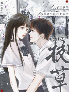 容倾许程晏笔趣阁无弹窗