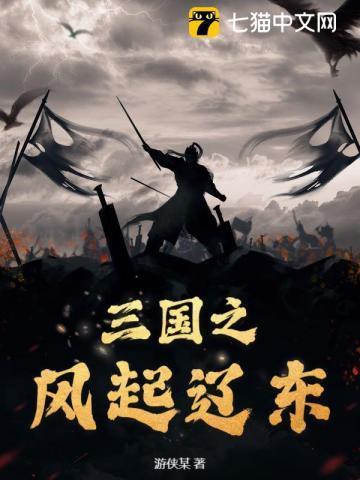 三国之风起海南